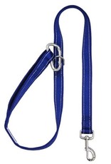 BayDog Hudson Leash Blue 4'