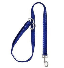 BayDog Hudson Leash Blue 4'