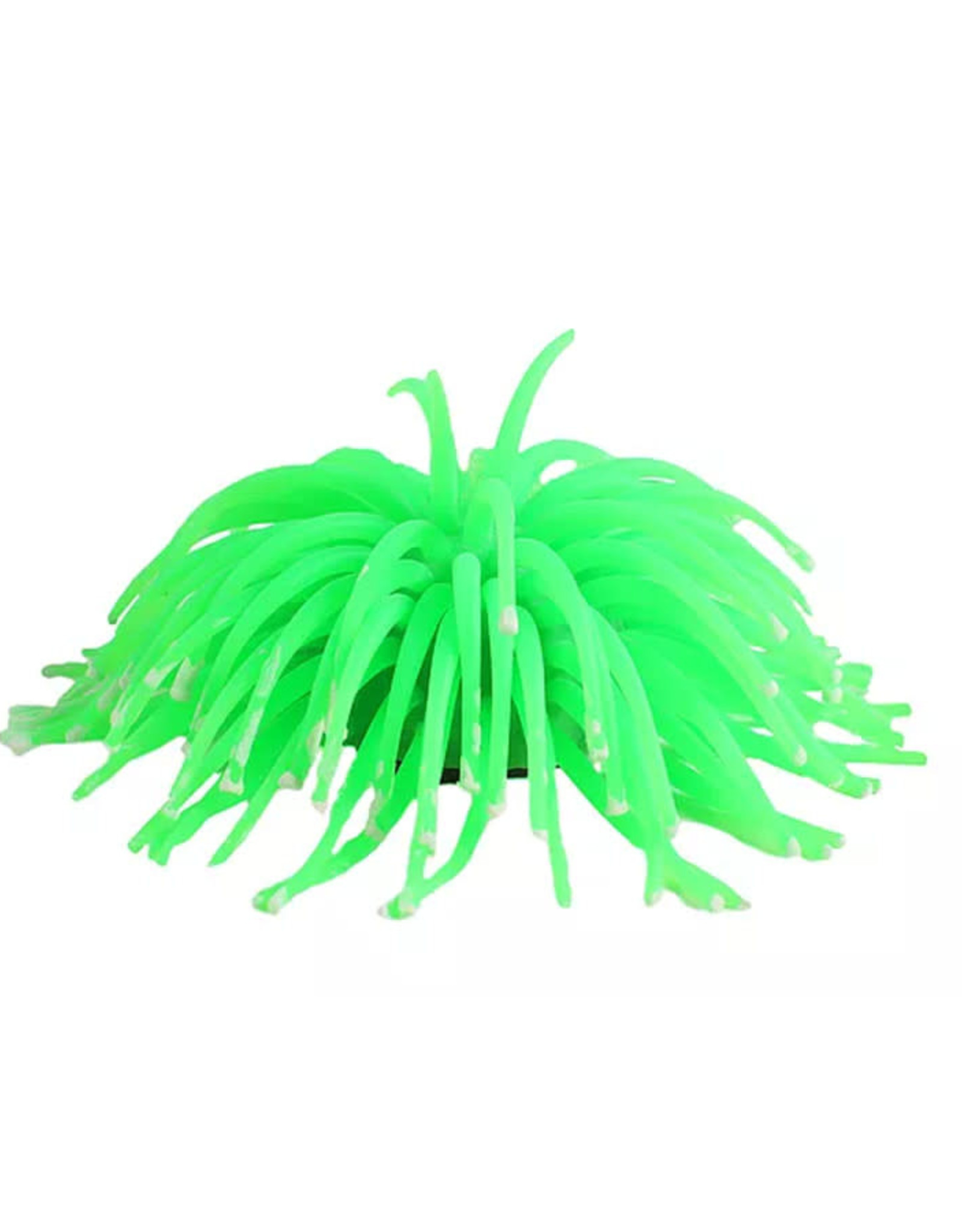 Penn-Plax LED SEA ANEMONE WITH REMOTE