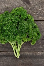 High Mowing Seed HM Grune Perle Parsley  1/32 OZ