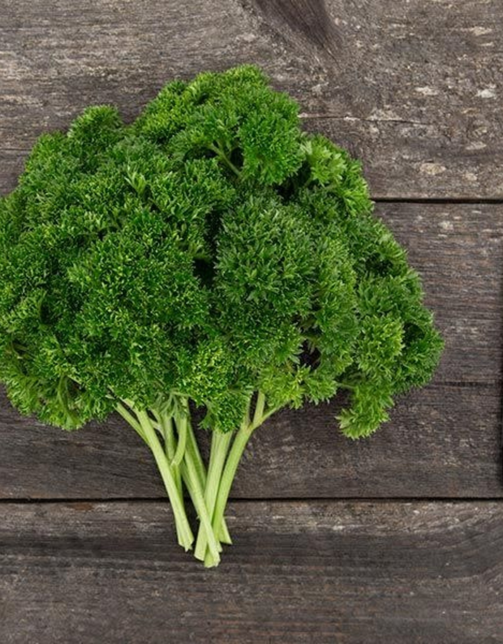 High Mowing Seed HM Grune Perle Parsley  1/32 OZ