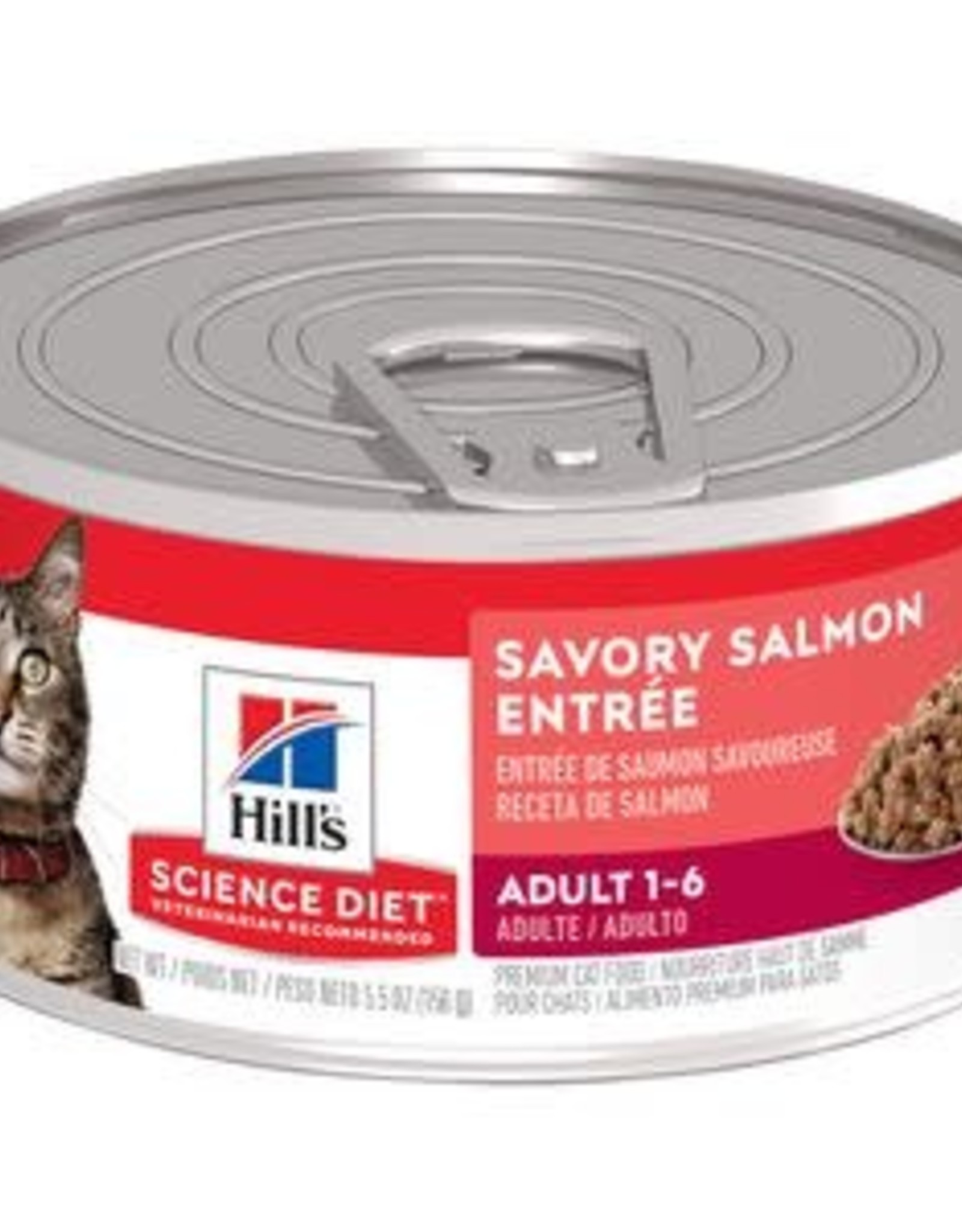 Hill's Science Diet Hill's SD Feline Adult Savory Salmon Entree Minced  5.5 oz Can