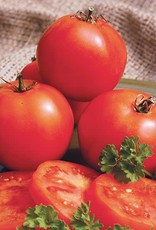 High Mowing Seed HM Mountain Princess Tomato  1/10 GRAM