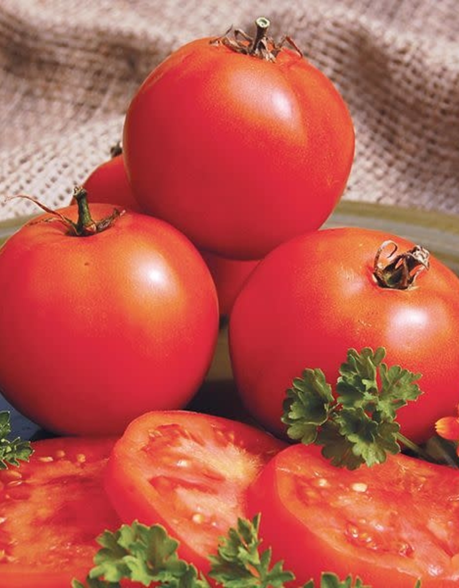 High Mowing Seed HM Mountain Princess Tomato  1/10 GRAM