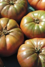 High Mowing Seed HM Cherokee Purple Tomato: 1/10 GRAM