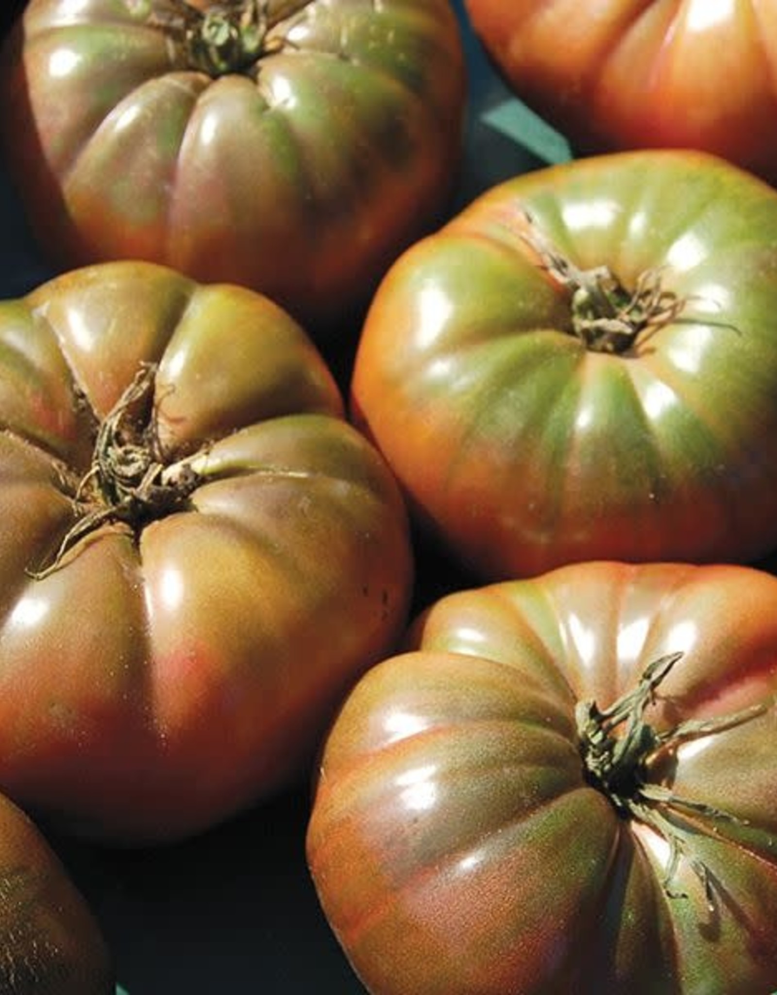 High Mowing Seed HM Cherokee Purple Tomato: 1/10 GRAM