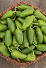 High Mowing Seed HM Early Jalapeno Hot Pepper  10 SEEDS