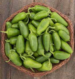 High Mowing Seed HM Early Jalapeno Hot Pepper: 10 SEEDS