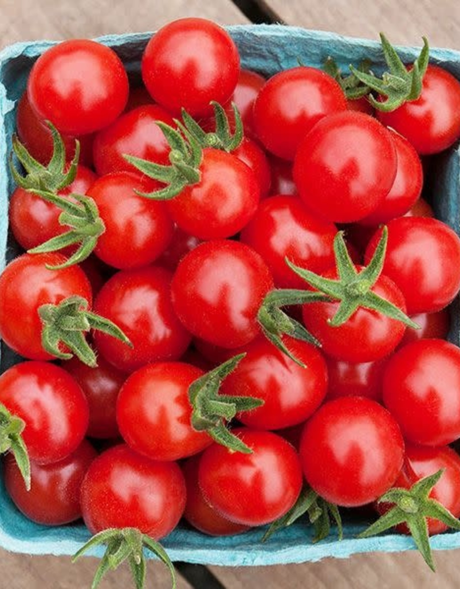 High Mowing Seed HM Matt's Wild Cherry Tomato  1/10 GRAM