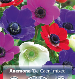 DeVroomen Anemone coronaria Monarch De Caen Mixed 15/pk