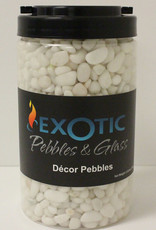 EXOTIC PEBBLES Exotic Pebbles Gravel Jar Snow White, 5 lb