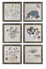 Framed Wall Decor with Floral Image, 9 3/4",  6 Styles