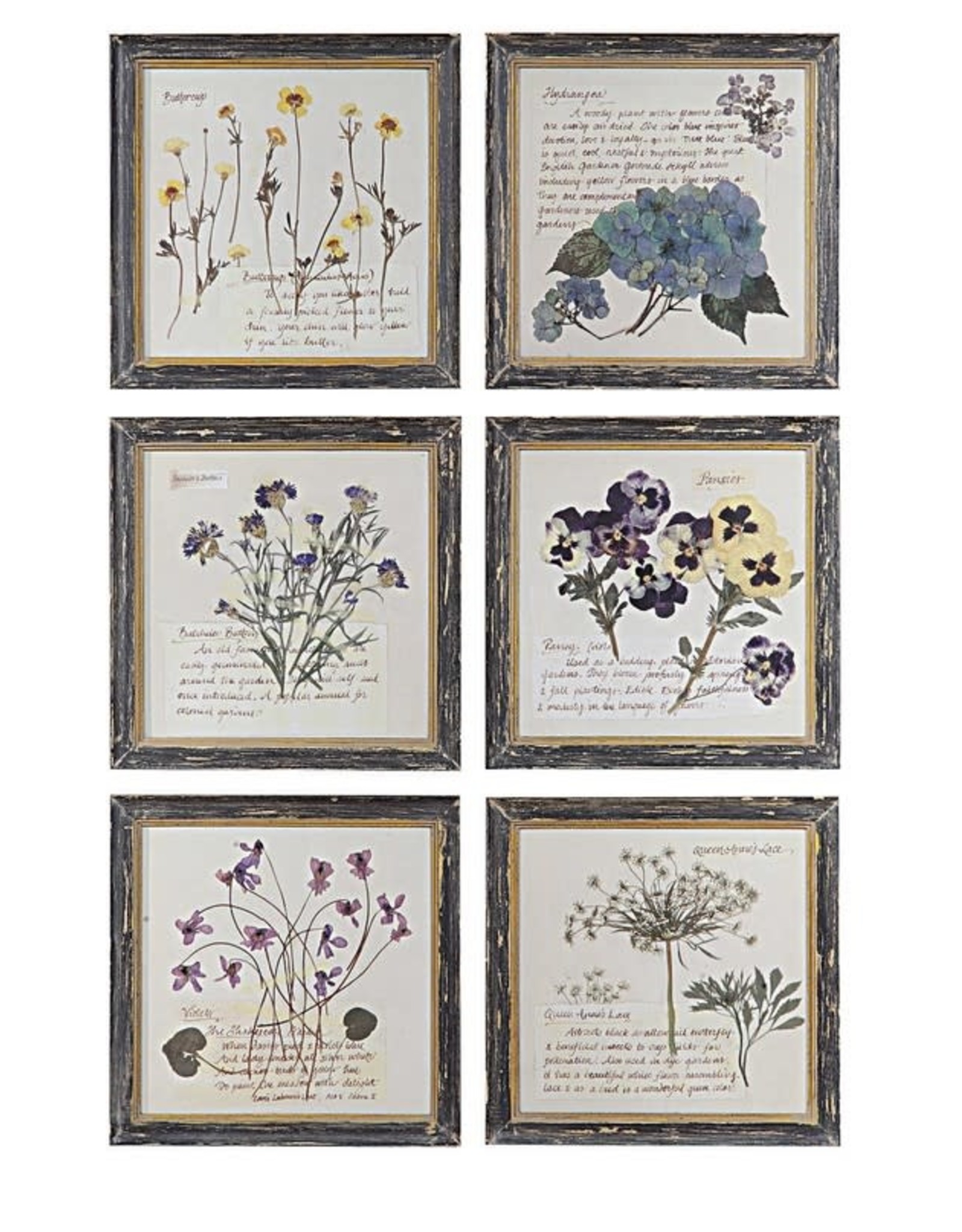 Framed Wall Decor with Floral Image, 9 3/4",  6 Styles