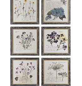 Framed Wall Decor with Floral Image, 9 3/4",  6 Styles