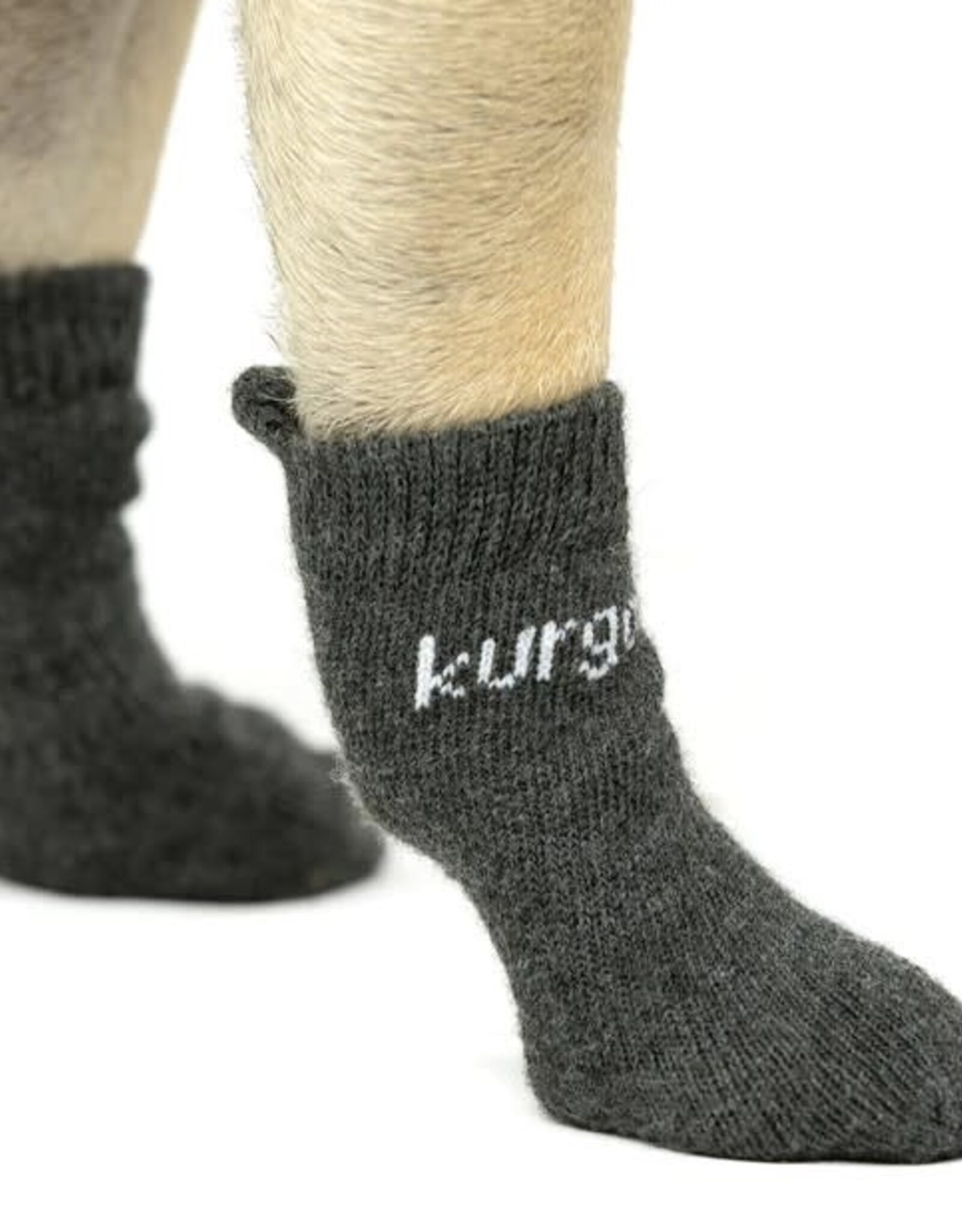 RADIO SYSTEMS CORP(PET SAFE) Kurgo Blaze Dog Socks Small