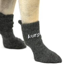 RADIO SYSTEMS CORP(PET SAFE) Kurgo Blaze Dog Socks Large