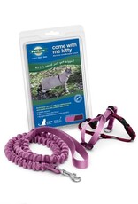 RADIO SYSTEMS CORP(PET SAFE) Come With Me Kitty Harness & Bungee Leash Large Dusty Rose