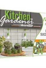MiracleLED 3ft 2-Bulb Ultra Grow Lite Kitchen Gardener Grow Kit Full Spectrum
