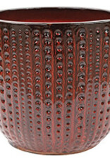 Buckingham Pot Tropical Red 7.5"