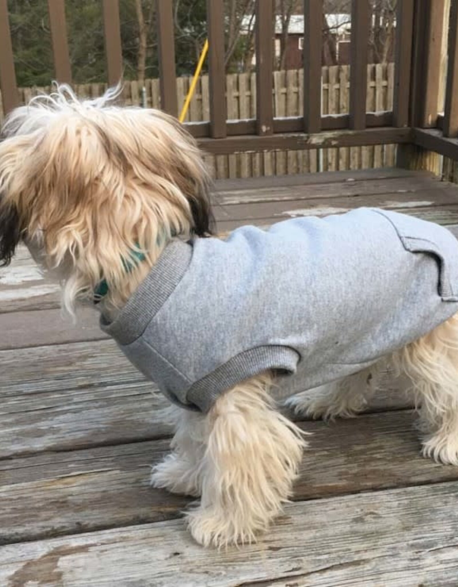ETHICAL PRODUCT INC. FAS Dog Sweatshirt Grey Large