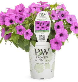 Proven Winners Petunia Supertunia Vista Jazzberry PW 4 in
