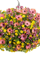 Proven Winners Annual Hanging Basket- Bundle of Joy 12 in