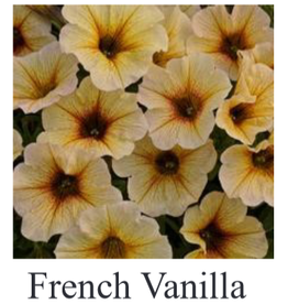 Fessler Petchoa SuperCal French Vanilla 3.5 in