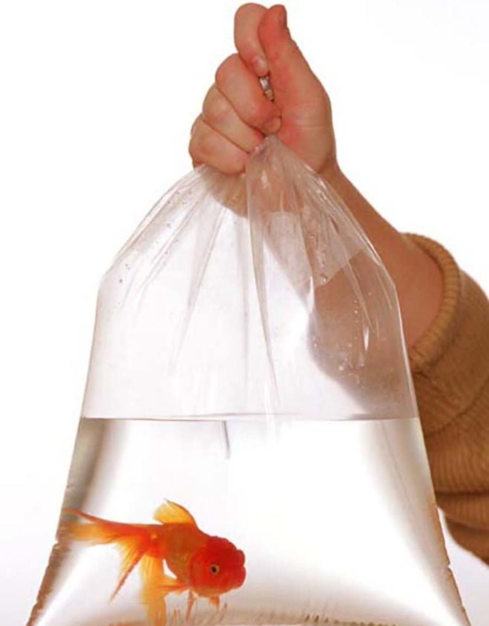 Gene Rodriguez Company Gen Bag Fish Bags 6X12 1.5mil1000pk STORE SUPPLY!