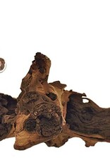 ZOO MED LABORATORIES ZooMed Mopani Wood Med