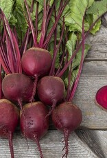 High Mowing Seed HM Red Ace F1 Beet  100 SEEDS