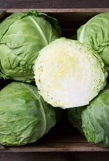 High Mowing Seed HM Tiara F1 Cabbage: 25 SEEDS