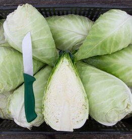 High Mowing Seed HM Caraflex F1 Cabbage: 10 SEEDS
