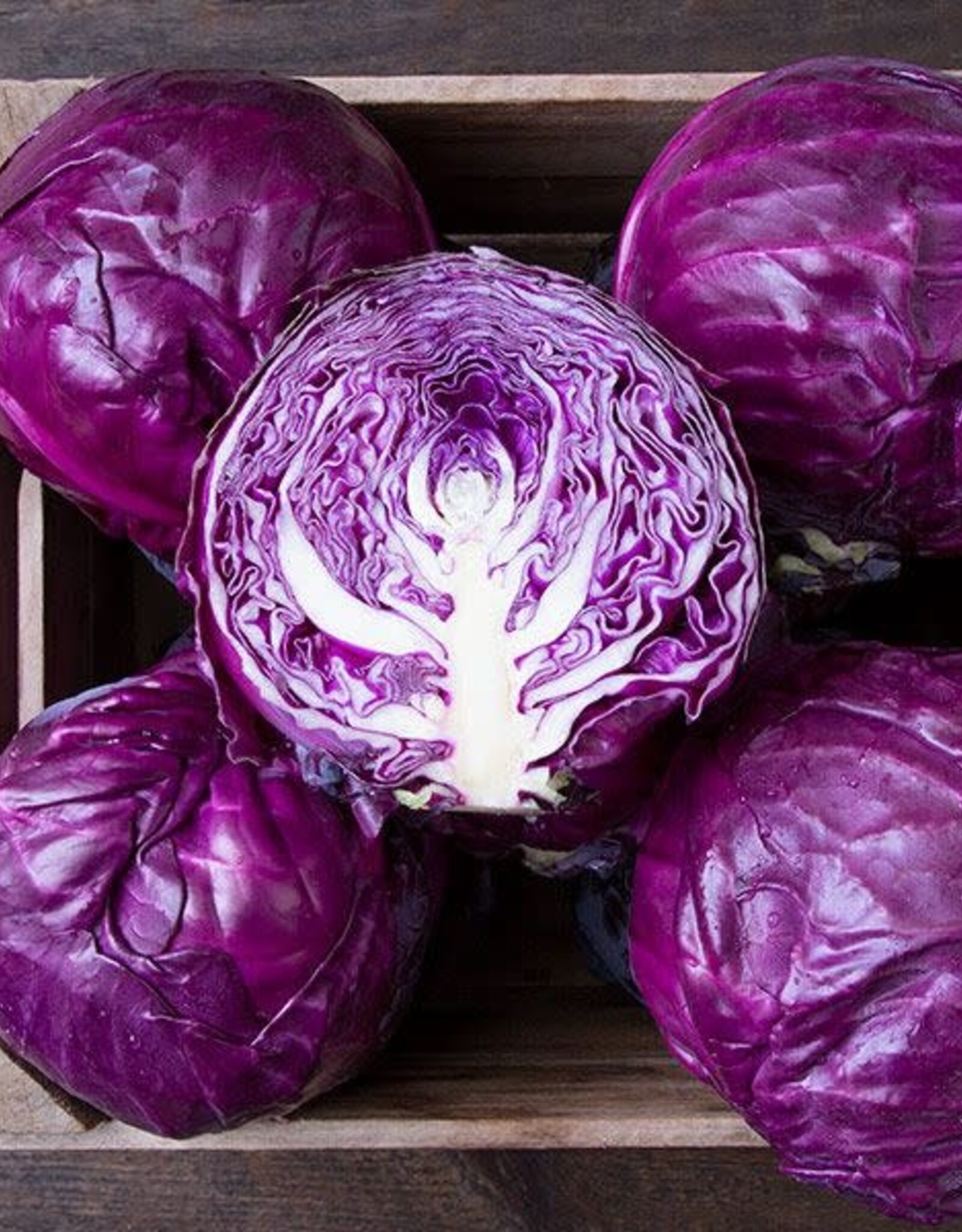 High Mowing Seed HM Amarant Cabbage  25 SEEDS