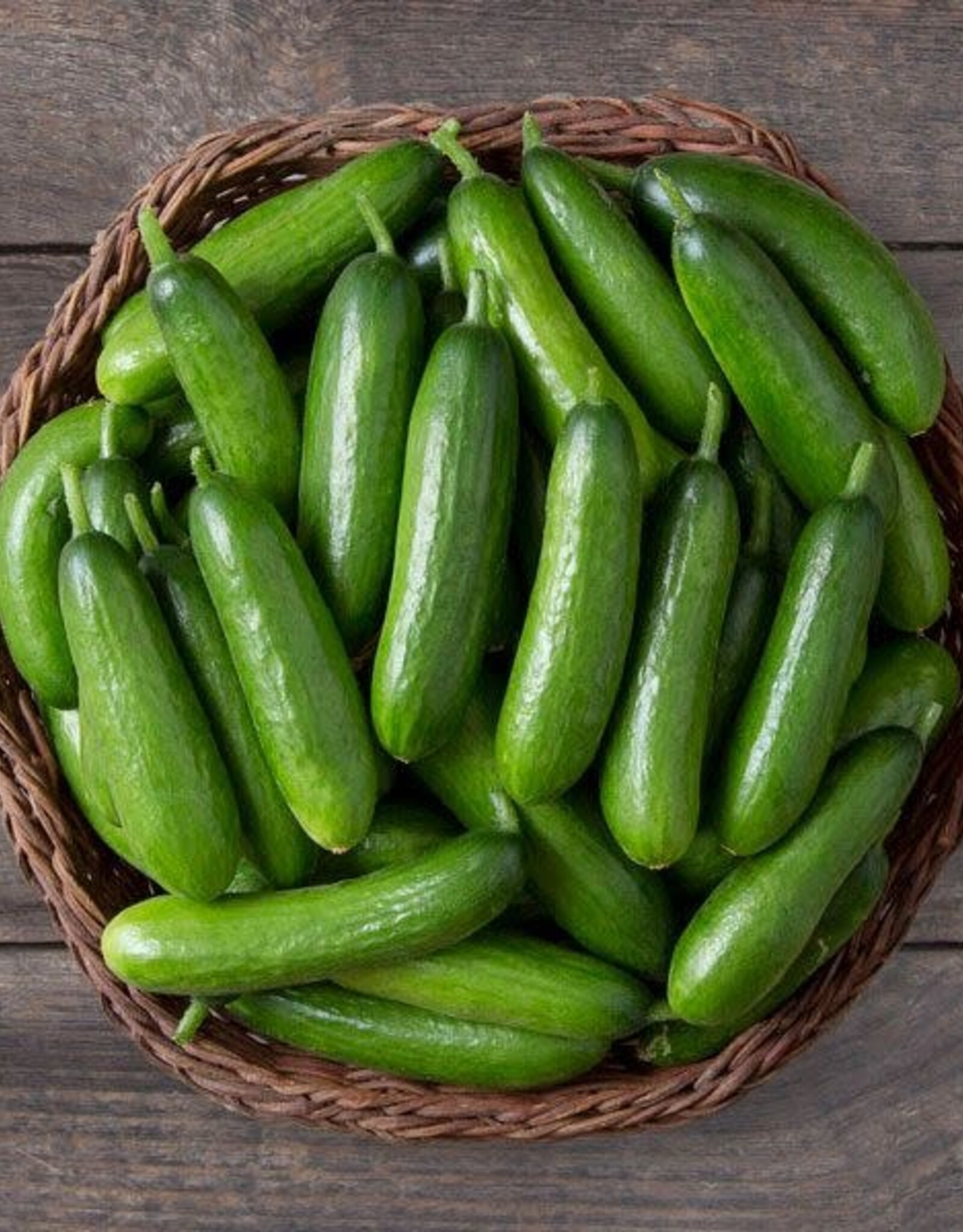 High Mowing Seed HM Minime F1 Cucumber  10 SEEDS