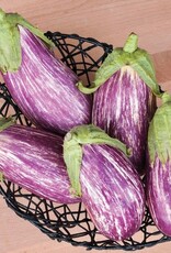 High Mowing Seed HM Listada de Gandia Eggplant  1/64 OZ