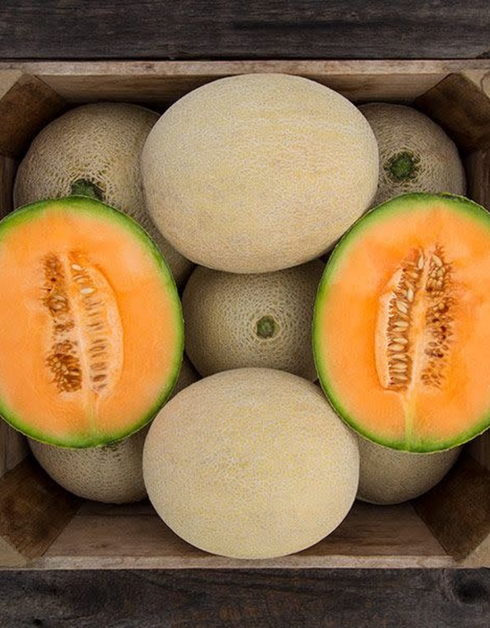High Mowing Seed HM True Love F1 Melon  10 SEEDS
