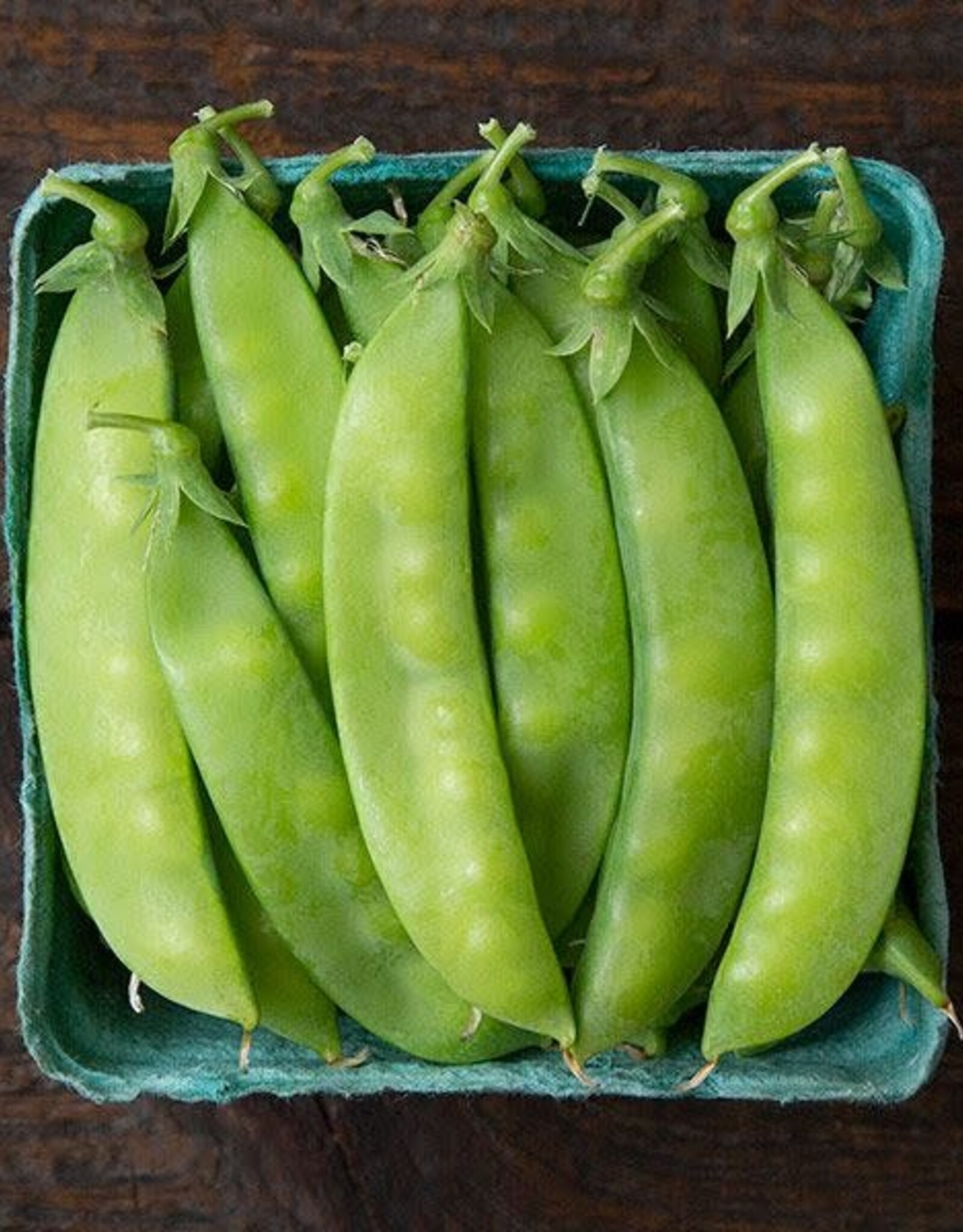 High Mowing Seed HM Blizzard Snow Pea  1 OZ