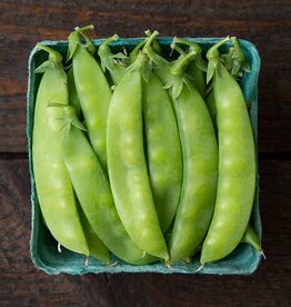 High Mowing Seed HM Blizzard Snow Pea  1 OZ