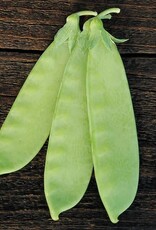 High Mowing Seed HM Mammoth Melting Snow Pea  1 OZ