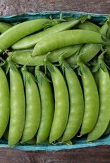 High Mowing Seed HM Sweet Gem Sugar Snap Pea  1 OZ