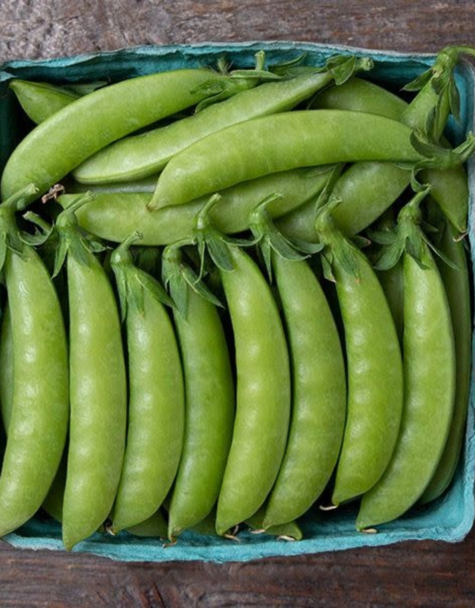 High Mowing Seed HM Sweet Gem Sugar Snap Pea  1 OZ