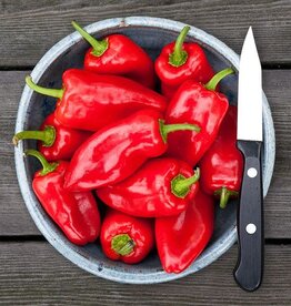High Mowing Seed HM HMS Red Picnic Pepper: 10 SEEDS