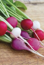 High Mowing Seed HM Valentine's Day Blend Radish  1/16 OZ