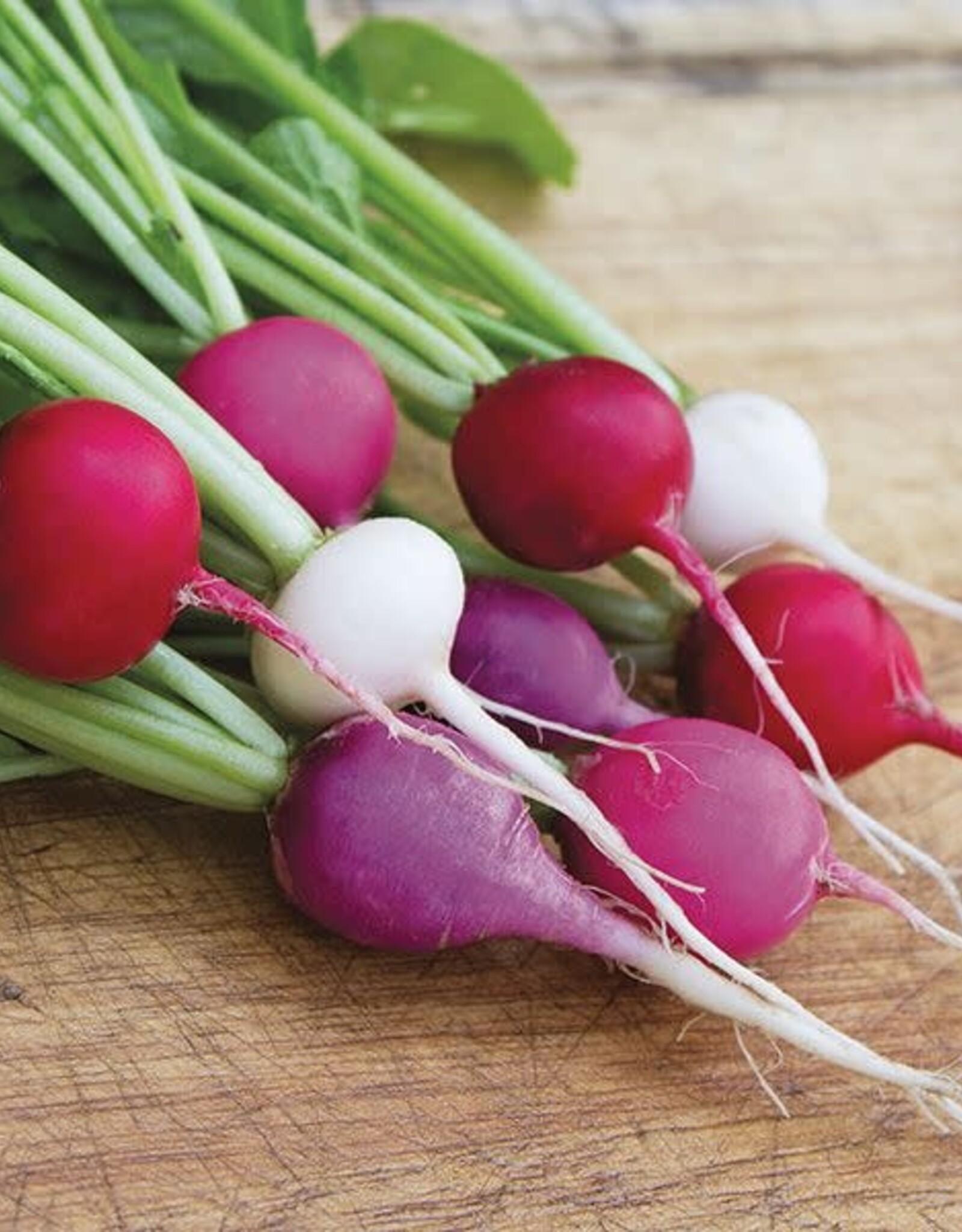 High Mowing Seed HM Valentine's Day Blend Radish  1/16 OZ