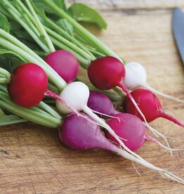 High Mowing Seed HM Valentine's Day Blend Radish  1/16 OZ