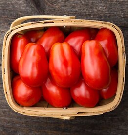 High Mowing Seed HM Roma VF Paste Tomato: 1/10 GRAM