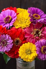 High Mowing Seed HM County Fair Blend Zinnias  1/32 OZ
