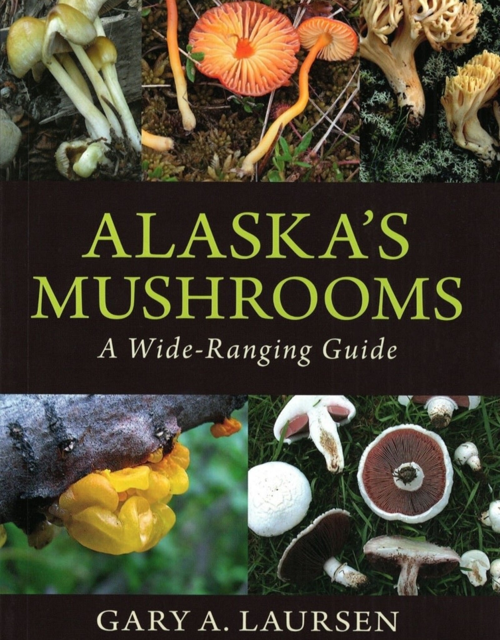 Alaska's Mushrooms: A Wide-Ranging Guide