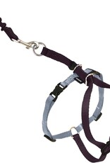 RADIO SYSTEMS CORP(PET SAFE) Come With Me Kitty Harness & Bungee Leash Large Black