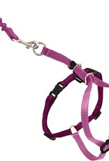 RADIO SYSTEMS CORP(PET SAFE) Come With Me Kitty Harness & Bungee Small Dusty Rose